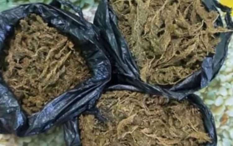 Kapen rreth 6 kg drogë në Shkodër, arrestohen 2 persona