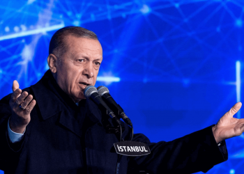 Erdogan mbetet pa ekonomistin e tij të besuar