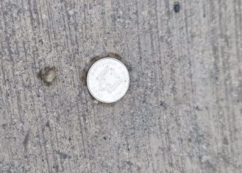 Vritet roja i sigurisë së Top Channel, Karamuço publikon foton…