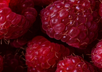 Frutat dhe perimet e kuqe pasuri për trupin dhe ilaç për zemrën