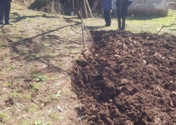 U shpërthen granata duke punuar tokën në Prrenjas, 3 të plagosur