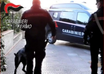 Itali/ Arrestohen 8 furnitorë kokaine, ndër ta 2 shqiptarë