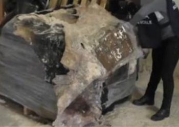 Itali/ Kapen 760 kg kokainë, mes të arrestuarve edhe një shqiptar