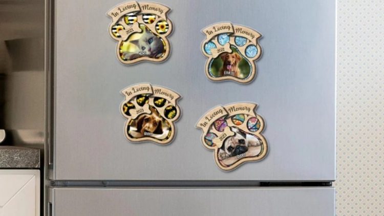 Arsyeja pse s’duhen mbajtur magnete në frigorifer