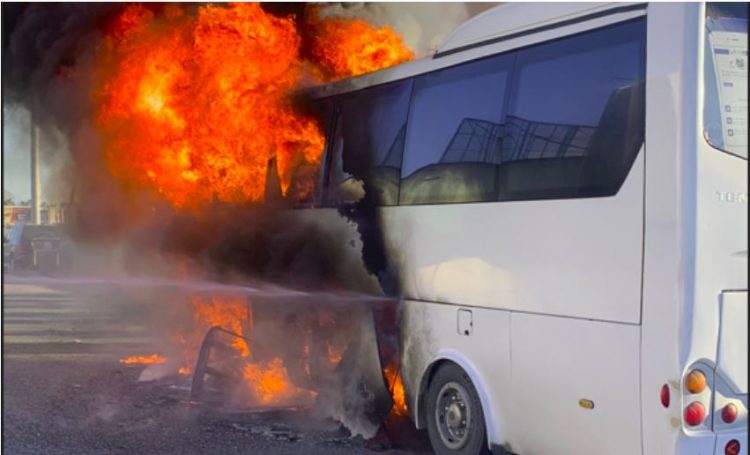 Merr flakë autobusi i linjës interurbane në Berat