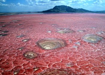 “Liqeni i gjakut” që i kthen kafshët në “gur”