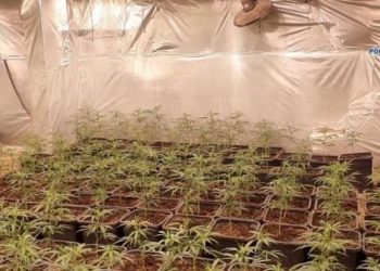 Trafik droge/ 16 të arrestuar në Spanjë, mes tyre edhe shqiptarë