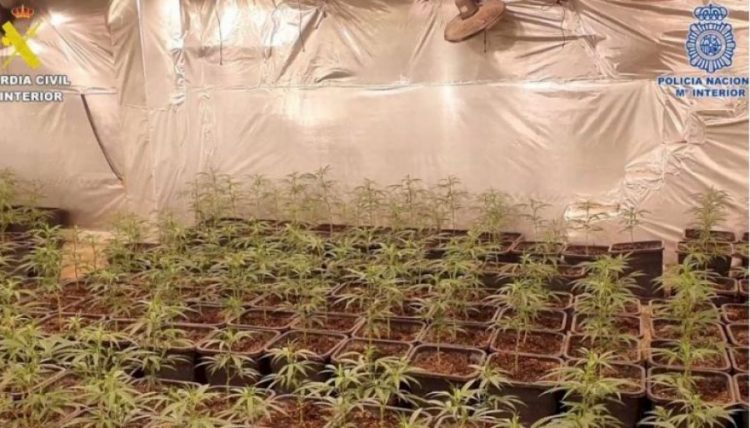 Trafik droge/ 16 të arrestuar në Spanjë, mes tyre edhe shqiptarë