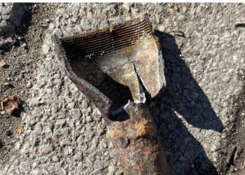 44-vjeçarit i plas predha në dorë