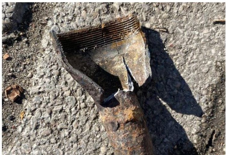 44-vjeçarit i plas predha në dorë