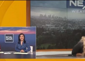 VIDEO/ Prezantueses i bie të fikët në transmetim direkt