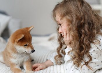 Të jetosh me kafshët shtëpiake zvogëlon rrezikun nga alergjitë