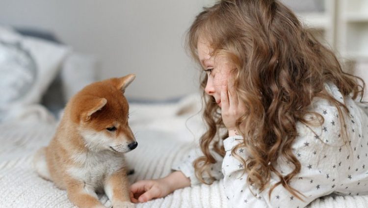 Të jetosh me kafshët shtëpiake zvogëlon rrezikun nga alergjitë