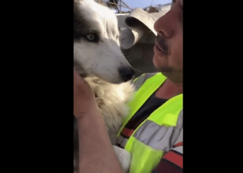 Qeni nxirret nga rrënojat 23 ditë pas tërmetit në Turqi