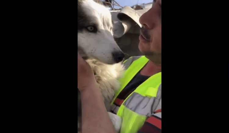 Qeni nxirret nga rrënojat 23 ditë pas tërmetit në Turqi