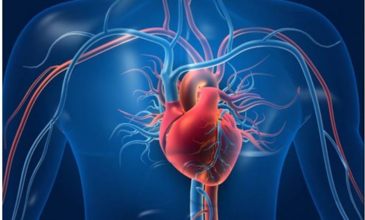 Shqiptarët, ndër të parët në Europë për vdekjet nga…