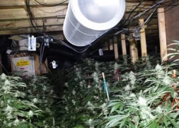 Trafik droge, gjykata britanike dënon 3 shqiptarët