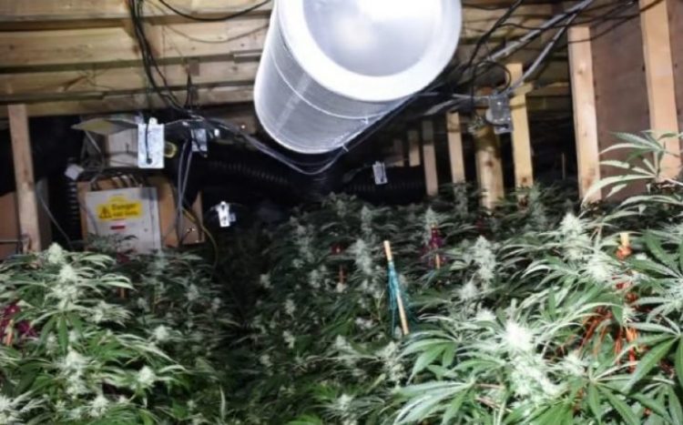 Trafik droge, gjykata britanike dënon 3 shqiptarët