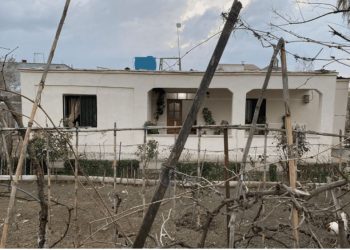 I vranë vajzën në oborr, nëna e shokuar: E pashë përtokë…