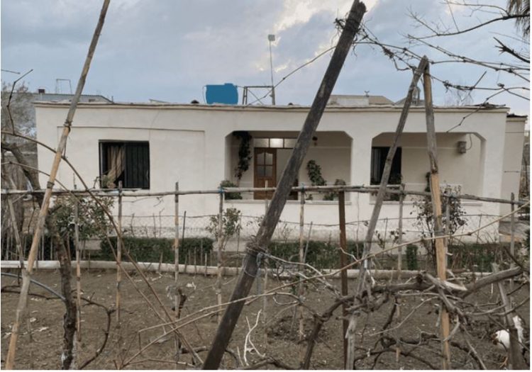 I vranë vajzën në oborr, nëna e shokuar: E pashë përtokë…