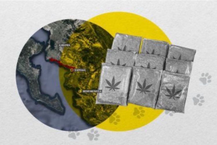 Mediat greke: Shqiptarët përdorin të pastrehët për drogën