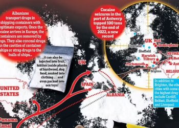 ‘Nëse dështon të heqin qafe’, vrasësi flet për bandat  shqiptare