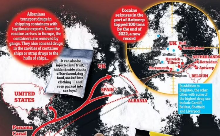 ‘Nëse dështon të heqin qafe’, vrasësi flet për bandat shqiptare