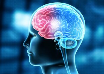 Ekspertja e Harvardit: Ja vitamina më e mirë për trurin