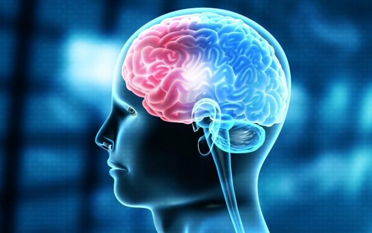 Ekspertja e Harvardit: Ja vitamina më e mirë për trurin