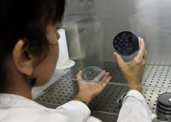 Cilat janë “viruset zombi”, ende të gjalla pas 50 mijë vjetësh