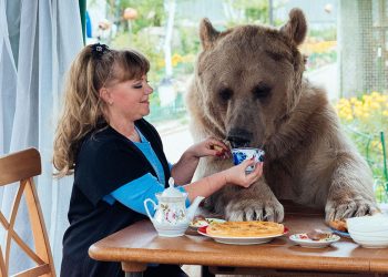 Alergjia e kafshëve shtëpiake te fëmijët, ja si ta dallojmë atë