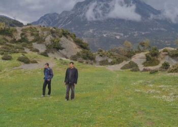 Doli të mblidhte dru, mister fati i gruas së zhdukur prej 2 javësh