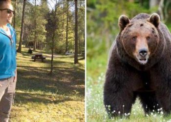 E rëndë, vritet nga ariu atleti italian