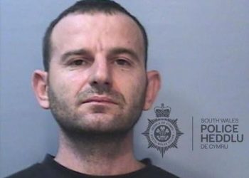 Posedonte mbi 300 rrënjë kanabisi, arrestohet shqiptari