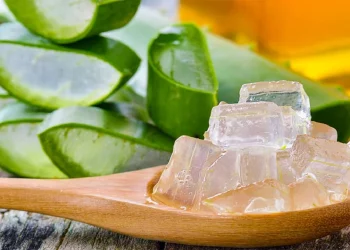 Si ta përdorni xhelin e aloe verës kundër djegieve në shtëpi