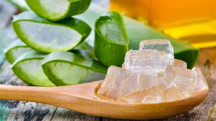 Si ta përdorni xhelin e aloe verës kundër djegieve në shtëpi