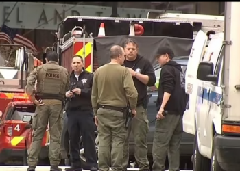 Çfarë po ndodh? Një grua futet me armë në Trump Tower