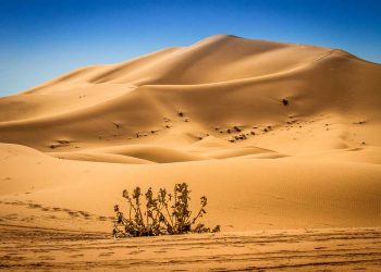 ‘Çmendet’ multimiliarderi, blen për 34 mln dollarë… rërën