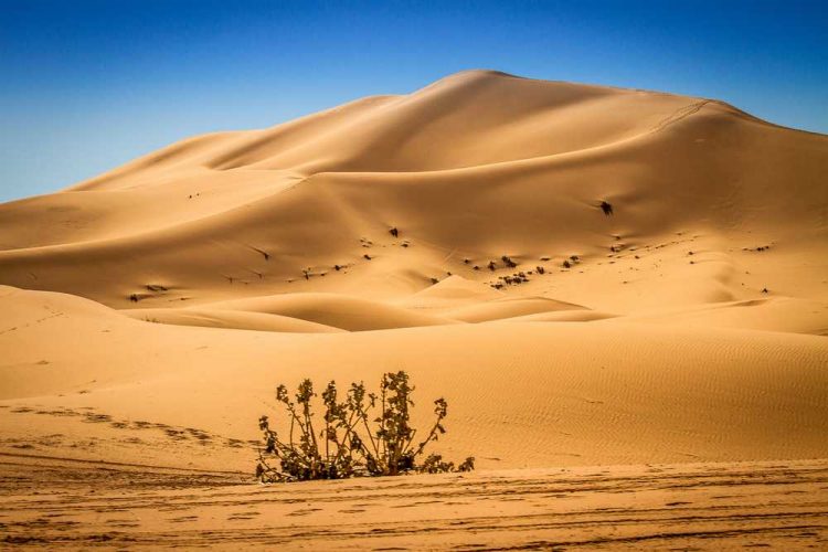 ‘Çmendet’ multimiliarderi, blen për 34 mln dollarë… rërën