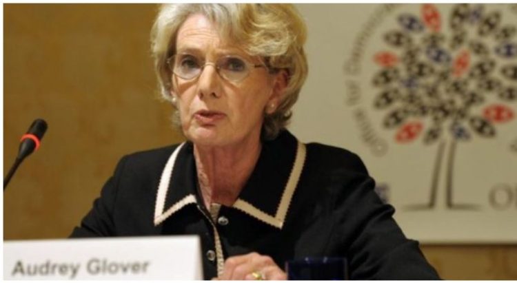 OSBE për zgjedhjet: Do vëzhgojmë situatën, kujdes me financimet