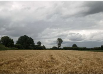 Gjendet i pajetë një shqiptar në Greqi, trupi i 41-vjeçarit u pa..