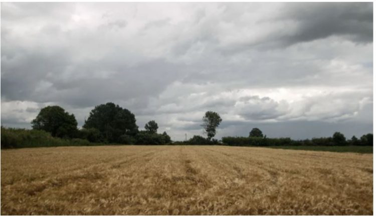 Gjendet i pajetë një shqiptar në Greqi, trupi i 41-vjeçarit u pa..