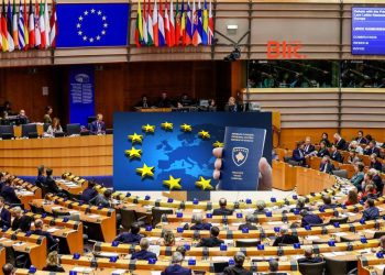 “Gjithçka gati për liberalizimin e vizave”/ Flet zëdhënësi i PE-së