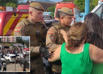 Çmenduri në Brazil, 25-vjeçari sulmon me sëpatë në çerdhe