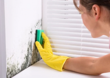 Si të eliminoni mykun në mënyrë natyrale në shtëpinë tuaj