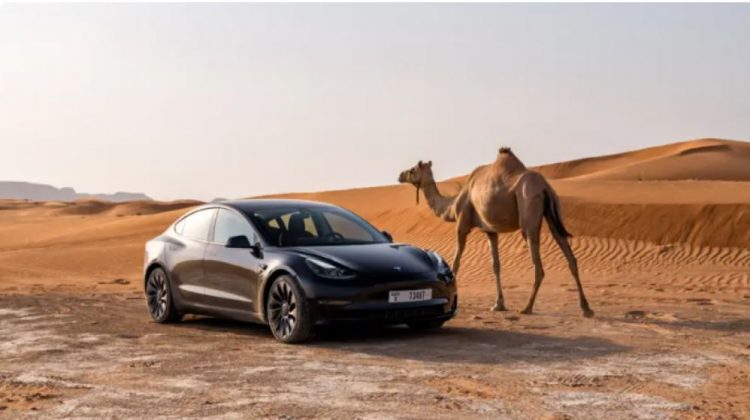 Tesla më e lirë tani kushton më pak se 40 000 dollarë