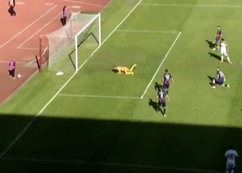 Vllaznia “ka bërë llafe” me golin, me Bylis vetëm 0-0