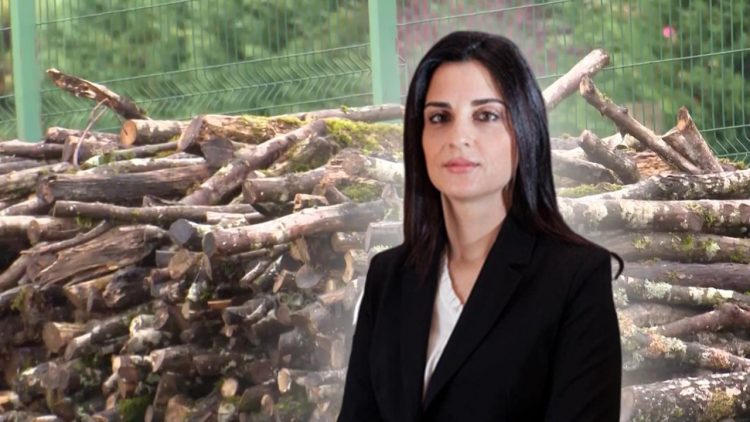 Fëmijët ngrinë në dimër, Sako blen në pranverë 400 MLN lekë dru zjarri