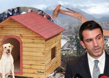 Tenderi komedi i Veliajt/ Qytetarëve iu prish shtëpitë, shpenzon 340 mln lekë për kolibe qensh