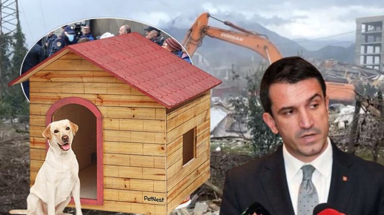 Tenderi komedi i Veliajt/ Qytetarëve iu prish shtëpitë, shpenzon 340 mln lekë për kolibe qensh